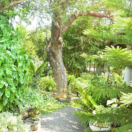 Livinginn Polonnaruwa Bagian luar foto