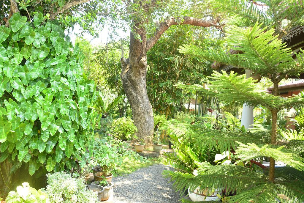 Livinginn Polonnaruwa Bagian luar foto