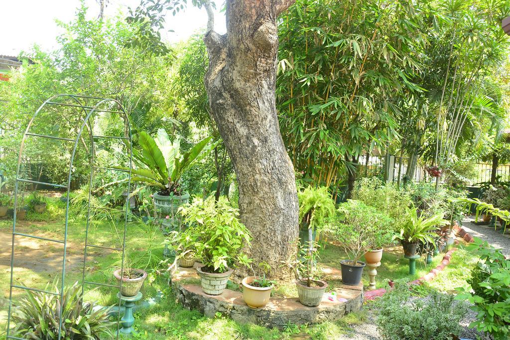 Livinginn Polonnaruwa Bagian luar foto