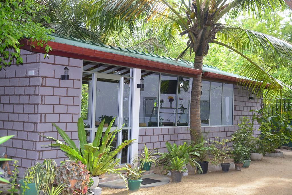 Livinginn Polonnaruwa Bagian luar foto